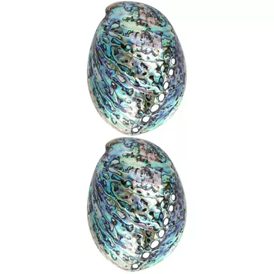 Natural Abalone Shell 2PCS Polished Sea Shells 10-12cm • £29.75