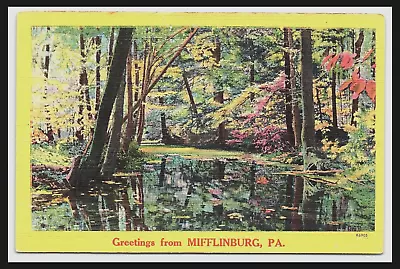 Mifflinburg PA Linen Postcard Greetings Scenic View River Forest Unposted  Pc257 • $6