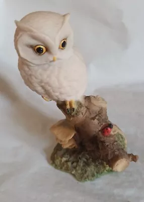 Aynsley Owl Figure • £3