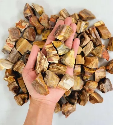 $10.50 • Buy Rough Petrified Wood Crystals, Bulk Healing Gems & Fossil Stones For Tumbling