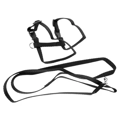 Bunny Harness Leash Rabbit Stretchy Leash Rabbit Halter Leash • $6.79