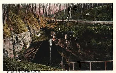 Vintage Postcard Entrance To Mammoth Cave Tourist Spot Kentucky KY Kyle Co. Pub. • $8.98