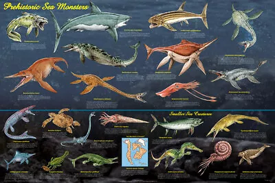 Prehistoric Sea Monsters Educational Poster 36x24 • $16.49