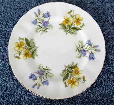 Vintage 1957 Paragon Fine Bone China English Flowers Bread & Butter Plate • $5