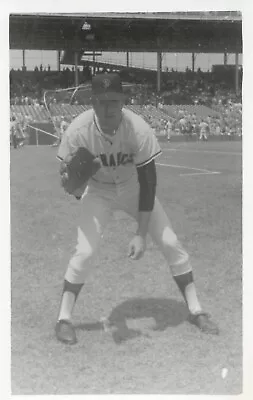 Mike Davison Vintage Photograph San Francisco Giants • $4