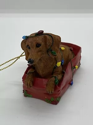 Dachshund Brown Puppy Dog In Christmas Lights Ornament • $19.99