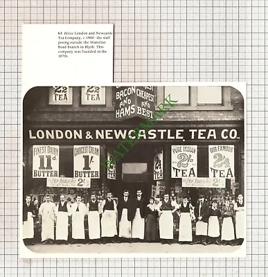 9875) London & Newcastle Tea Company Blyth Northumberland  - Cutting • £6.85