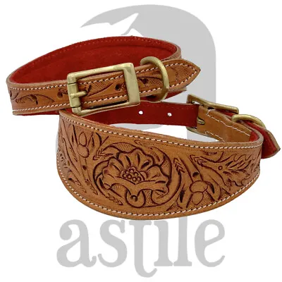 £16.99 • Buy Leather Whippet Grey Hound Lurcher Dog Collar Vegetable Tanned Hand Tooled