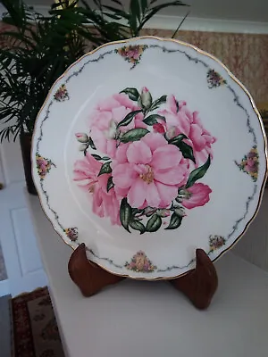 Royal Albert Plate Camellia Sara Anne Schofield Queen Mothers Favourite Flowers • £8