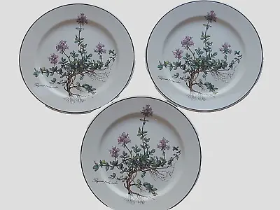 3 Villeroy & Boch Botanica Salad Plates THYMUS WITH ROOTS Purple Flowers 8.25  • $36.99