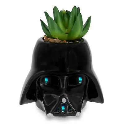 Star Wars Darth Vader Helmet Light-Up Mini Planter With Artificial Succulent • £23.15