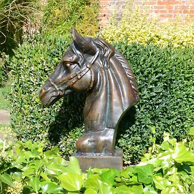 Race Horse Head Bronze Metal Garden Ornament • £169.99