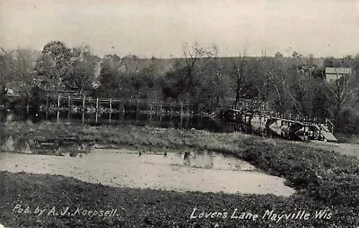 Lover's Lane Mayville Wisconsin WI Birdseye View C1910 Postcard • $14.95