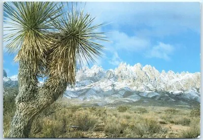 Postcard Organ Mountains New Mexico USA North America • $6.23