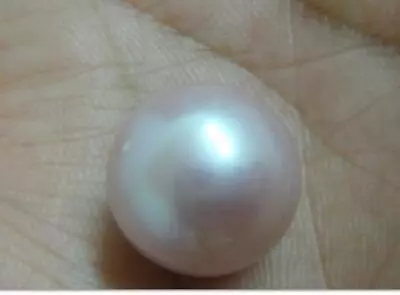 $48 • Buy Huge 12-13 Natural South Sea Genuine Pink Lavender Round Loose Pearl Undrilled