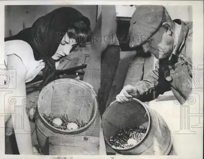 1946 Press Photo John P. Adams Found A Duck Egg In Nail Keg At Juneau Park • $15.99