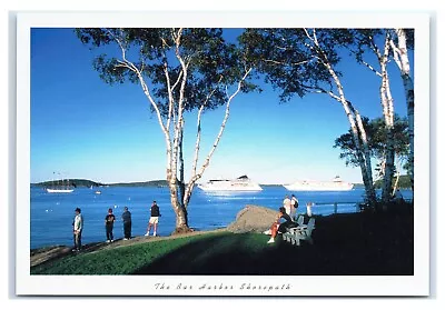 Postcard The Shore Path Bar Harbor Maine ME Cruise Ships In Harbor K5 • $1.74