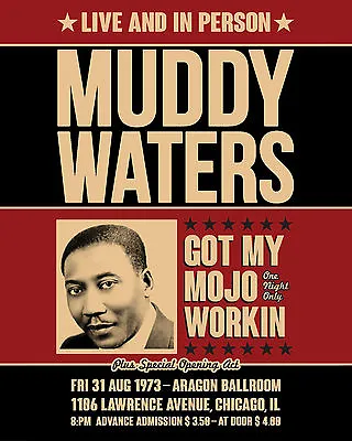 Muddy Waters Concert Poster - 8 X10  Color Photo  • $6.99