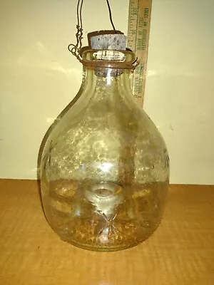 Vintage/Antique Fly Bee Insect Glass Trap Catcher Bottle  • $37.50