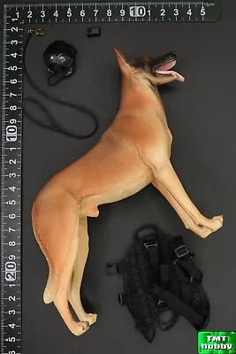 1:6 Scale Mini Times M029 SEAL Team Navy Special Force - K-9 Dog W/ Harness Set • $10.37