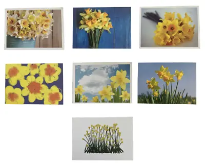 Marie Curie Daffodil Postcard Cancer Care Appeal Collection X 7 Unposted • £8.99