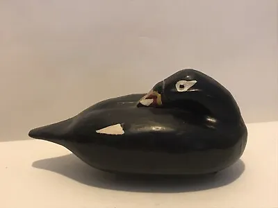 White Winged Scoter Sea Duck Miniature Decoy Herb Byington Sleeping Preening • $99