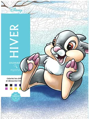 £19.99 • Buy Disney Winter Classics Coloring By Number Meditation Creative Gift (French)