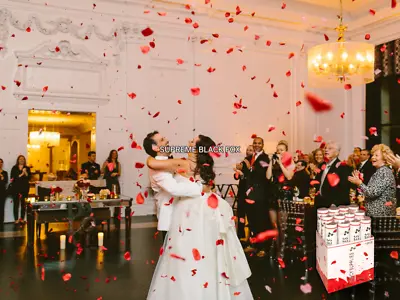 $59.99 • Buy Wedding Red Silk Rose Petals Cannon Celebrate Party Poppers Anniversary Photo