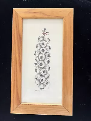 Framed  HAND COLORED ETCHING  FANCY CLOVES  PENCIL S/N 62/350 GARLIC PRINT • $20