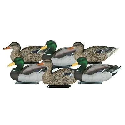 Dakota Flocked Drake Head Decoys - 6 /with Heavy Duty Camo D U Slotted Bag • $140