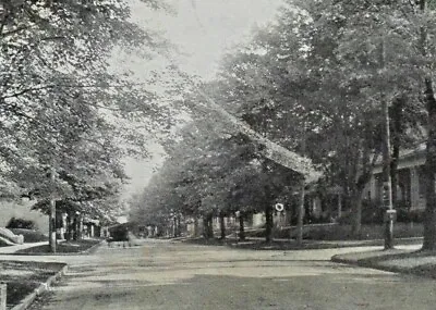 Monroe St. Looking South From Charlotte St. Tiffin Ohio Postcard 1909 Post 3395 • $8