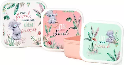 Me To You Bear AGZ01155 Lunch Boxes Plastic 600 Milliliters Pink & Green • £11.31