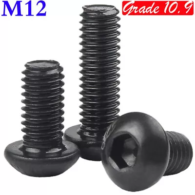 M12 High Tensile 10.9 Black Alloy Steel Button Head Hex Socket Cap Screws Bolts • $17.77