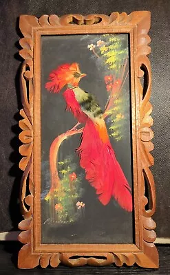 Mexican Feathercraft Bird Art Natural Feathers Hand Carved Frame • $17.75