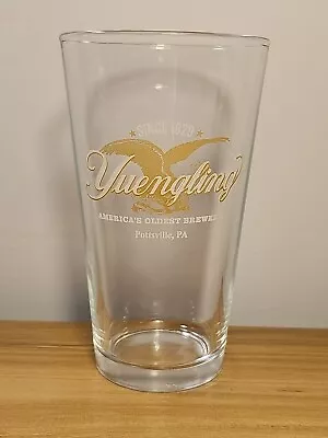 New Yuengling Beer Glass Pottsville PA USA Brewery Eagle Logo  • $3.99