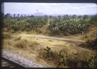 Along Mexican Railroadcalera1965.vtg Kodachrome 35 Mm Photo Slide*c9 • $8.28