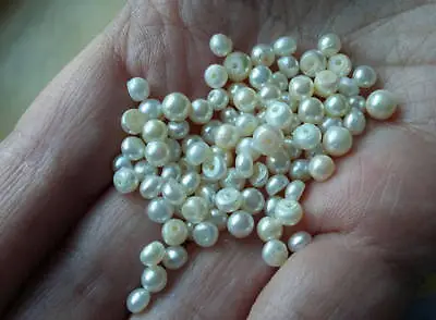 Matched Pair Creamy White 4mm REAL Cultured Freshwater Pearl Beads Half Drilled • £10