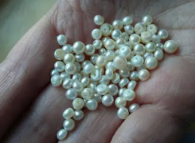 Matched Pair Creamy White 6mm REAL Cultured Freshwater Pearl Beads Half Drilled • £14.99