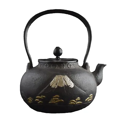 Japanese Cast Southern Iron Advanced Handmade By Celebrities1.2L Free Shipping • $3999.60