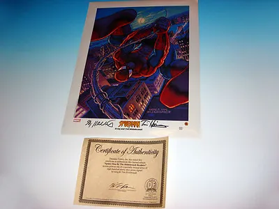 Spider-Man Lithograph Signed By Artists Greg & Tim Hildebrandt Marvel Comics COA • $99.95