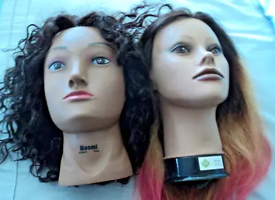 Lot 2 Mannequin Cosmetolgy Human Hair Training Heads: Naomi Kayla • $39