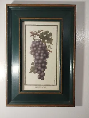 Martha Hinson Wine Grapes Pinot Noir  Framed Print 12 ×8  • $14.75