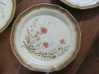 2  MIKASA WHOLE WHEAT E8016 JARDINIERE DINNER PLATES 10 7/8  NOTE Selling Two • $16.99