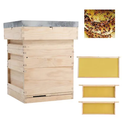 National Bee Hive Bee Keeping Pine Or 10 Super 10 Brood Beekeeping Beehive  • £35.95