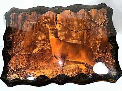 Vintage Hand Made Wall Plaque.  Deer And Outdoor Motive. • $15.99