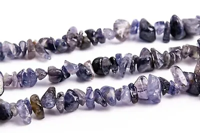 9x7MM Iolite Pebble Chips Grade A Genuine Natural Gemstone Loose Beads • $5.45