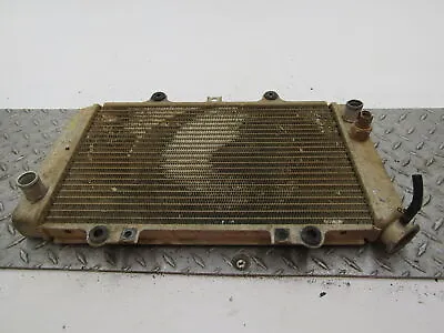 2003 Yamaha Grizzly 660 Engine Radiator Motor Cooler Cooling Radiater No Cap • $45