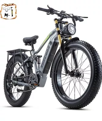 Burchda Electric Mt Bike Adult 1000W Ebike 48V 20ah Battery 26 X4 Fat Tire 30mph • $1659.99