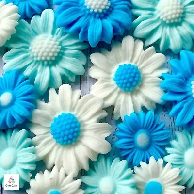 Edible Blue White Daisies Flowers Fondant Sugar Paste Cake Toppers Birthday Boy • £6.95