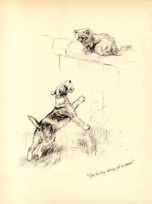 1933 Vintage Cat And Dog Print Original Pen & Pencil Sketch By K.F. Barker • £8.75